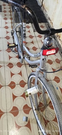 باسكل • حجم ٢٦ • حولي