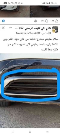 قطة • النجف • عندي