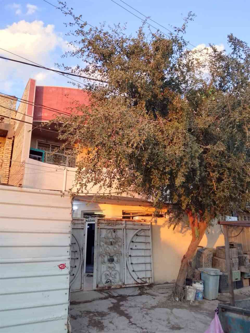 السلام عليكم بيت للبيع ١٦٠ متر زراعي عل شارع ٥٠ مال الكفاءات العبيدي قاطين القاط لاول يتكون غرفه وصاله وستقبال ومطبخ والقاط الثاني ثلاث غرف وحده من الغرف عوزه بس سكف لاستفسار اكثر الاتصال عل الرقم *********** ا
