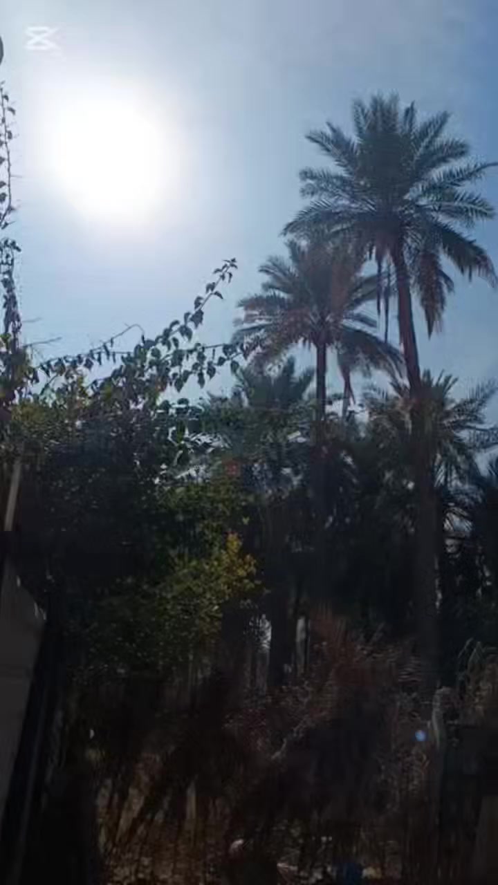 السلام عليكم
كيا اوبتيما 
موديل : 2019 
ماشيه : 70 
لون : اسود 
محرك : 2400
وارد : أمريكي 
ضربته: بلقماره واكعه بلوكعه فقط قطعه صغيره 
نضيفه وحلوه السياره 
السعر خاص او الاتصال بالرقم ..
*********** 
***********
