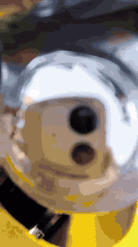 سلام عليكم دراجه للبيع امبدل بيه ولفات المكان نجف ***********
