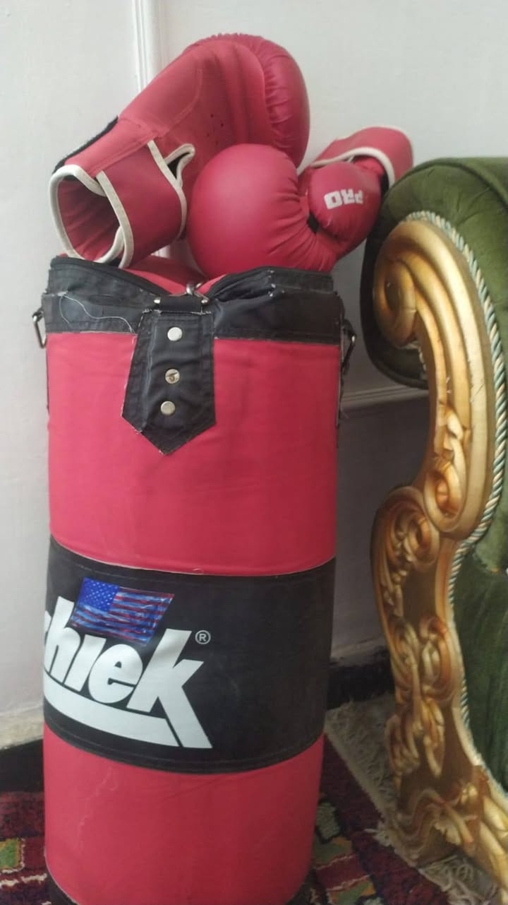 يوجد صوبه الاصليه نفطيه للبيع  وجيس ملاكمه  الصوبه 40وبيها مجال وجيس ملاكمه  25وبي مجال


**إذا كنت صاحب هذا الإعلان وتريد حذفه لأي سبب، رجاءا أرسل رسالة إلى الدعم الفني**