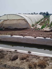 بيوت زجاجه • لبناني ٢٢قوس • اردني ٢٣قوس