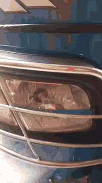 22رقم وسنويه طالعه بل24كفاله ***********
