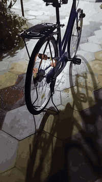 سلام عليكم بايسكل BD للبيع موديل2022 مال حاويه ماخذه من كرار ابو نقش سعر 170قفل🔒مكان ديوانية قضاء شاميه ✨🤎.


**إذا كنت صاحب هذا الإعلان وتريد حذفه لأي سبب، رجاءا أرسل رسالة إلى الدعم الفني**