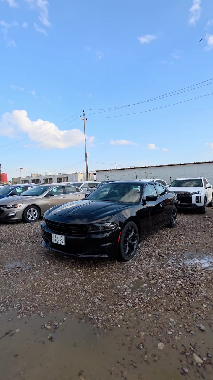 السلام عليكم اخوان***********
وجبه سيارات وارد امريكي
بتاريخ،،28/3/2026
متوفره في معرض جعفر للسيارات للوارد الامريكي 
العنوان البصره - الزبير - المعارض 
قرب شركه أمجاد العراق لتصنيع الكرفانات
للاستفسار(*********** )جعفر داود
#معرض جعفر للسيارات للوارد الامريكي
