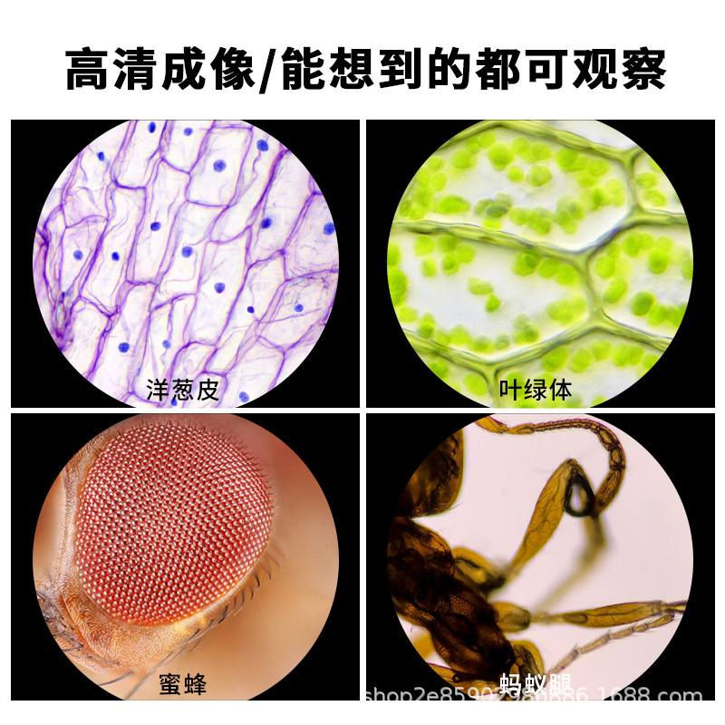 مجهر تعليمي حقيقي لتعليم الاطفال وزرع الرغبة في التعلم في نفوسهم تكبير حقيقي مع قاعدة تثبيت وإضاءة من الاعلى والاسفل ومع حامل موبايل لتصوير الاشياء التي يمكن تكبيرها ويمكن فصله وحمله إلى اي مكان وتكبير أوراق النباتات والحشرات ورؤية الخلايا السعر 17 الف توصيل مجاني جميع المحافظات


**إذا كنت صاحب هذا الإعلان وتريد حذفه لأي سبب، رجاءا أرسل رسالة إلى الدعم الفني**