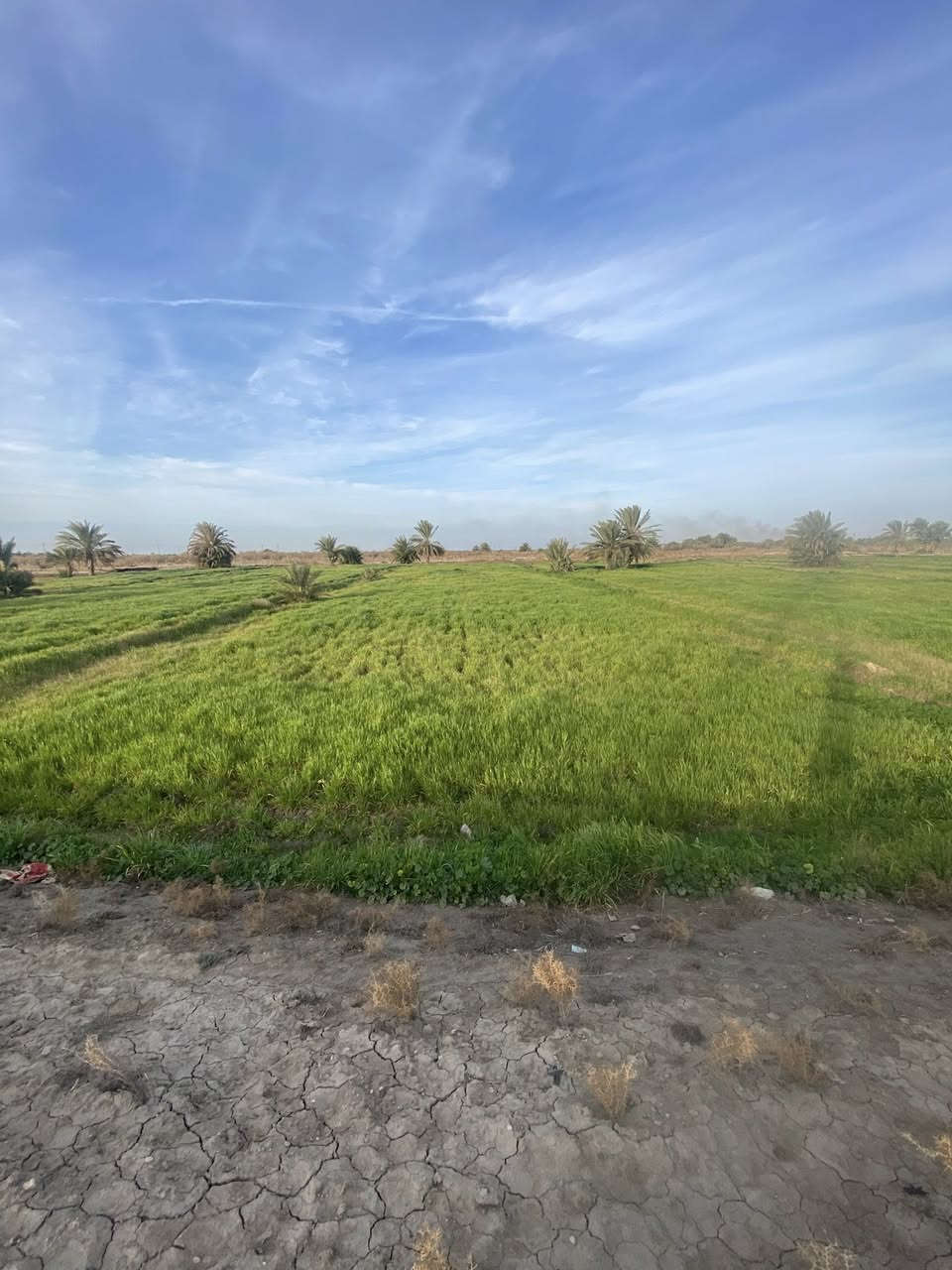 البيع4دونم شاطي مكاني على طريق ممحله ال حناج تفاصيل***********
