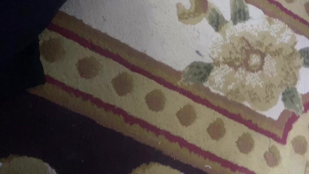 شلعات رخيصه ابيع لان نصفيه محتاجه فلوس


**إذا كنت صاحب هذا الإعلان وتريد حذفه لأي سبب، رجاءا أرسل رسالة إلى الدعم الفني**