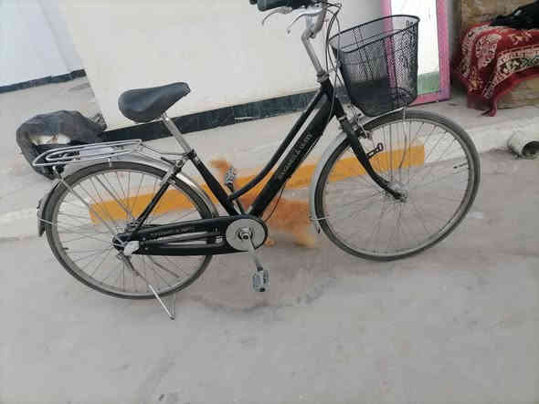 بايسكل للبيع باله جديد السعر 100 ياسين خريبط رقم ***********
