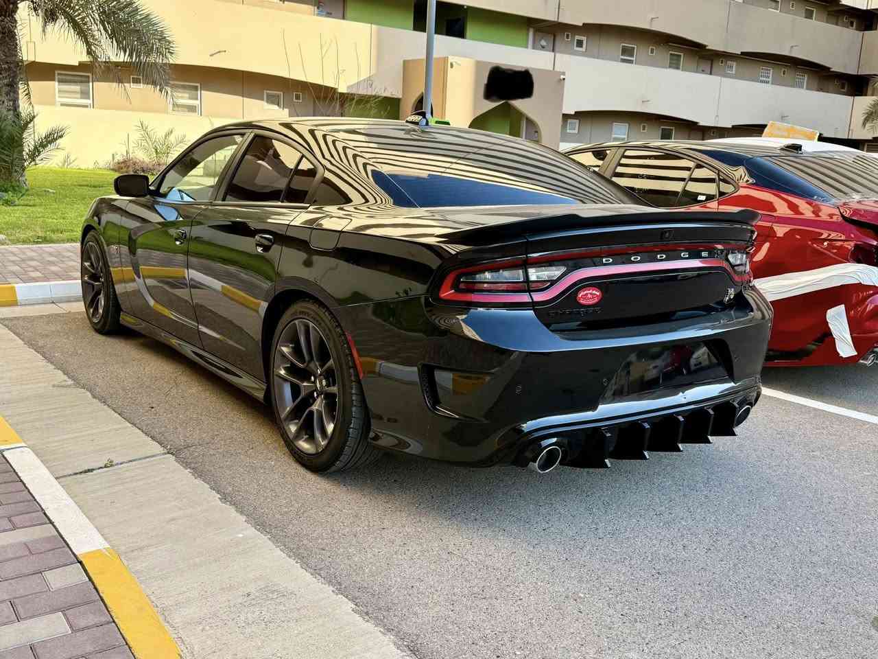 السلام عليكم ورحمة الله وبركاته دوج جارجر سكات باك 2023 LAST CALL النداء الاخير اعلى فئة بالجارجر فول بدون رقم 
المواصفات:.

1-بصمه +تشغيل عن بعد
2-فتحه سقف
3شاشه كبيره
4- لايت زنون 
5-لد متغير الالوان
6-كشنات تدفئه
7-كشن جلد
8-مثبت سرعه
9-رادار امامي
10-اربع انضمه قياده SPORT ,TRACK ,ECO -NORMAL 
11- نضام الدرفت+تقفيل وياله 
12-شحن تايبسي 
13-قطعتين تبريد
14-ماشيه 38الف
15-حادث حرق في الضفيره مالت المكينه صبغ بنيد فقط
16-كشنات تبريد
17-تخم تاير بالكارتونه قبل شهر
18- السياره مابيها اي نقص ربع متصرف عليها 
19- كامره خلفيه
20-حساسات خلفيه
21-استيرن كهرباء
22-كشن حضن
23-شفتات ستيرن
24-كشنات كهرباء

السعر:245$وبيه محال للطيبين

اللاستفسار اكثر :***********
