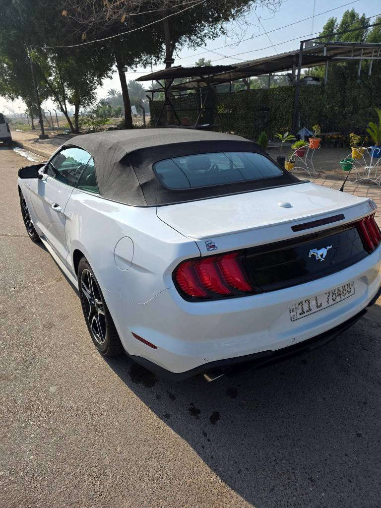 السلام عليكم للبيع او للمراوس موستنك ٢٠٢٣  ابيض ماشيه ٣١ الف ميل فول مواصفات بريميوم حادث بنيد وجاملغ وباب الصدر صبغ ٣ قطع راس  الشاصي ضرر وبدل جزء بسيط منه راجع بلاد والباقي كله جاهز رقم بغداد باسمي مكاني المنصور السعر ١٦٨ وبيها مجال *********** بغداد, العراق
