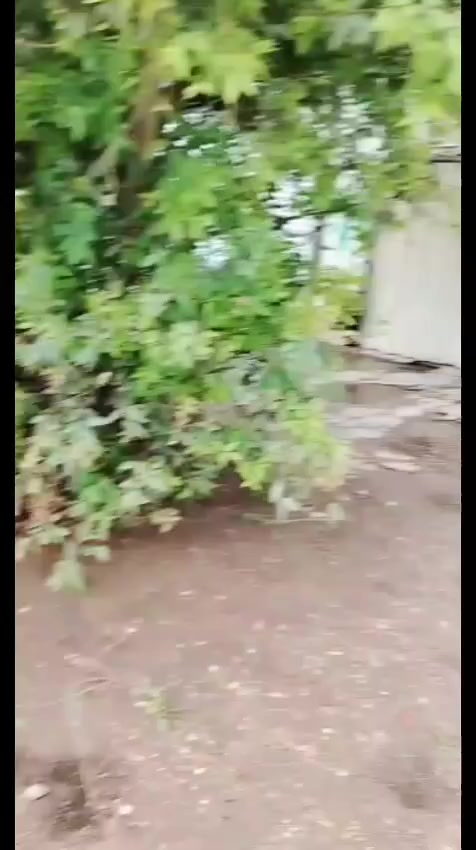 الدار للبيع المساحة 160 الموقع تجاري الشعله شارع العام قرب شارع سيد شناوة مجاور شركة المصطفى سعر 400 للاستفسار الاتصال عل رقم ***********
