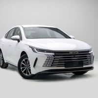 بي واي دي • ديستروير • ٢٠٢٥