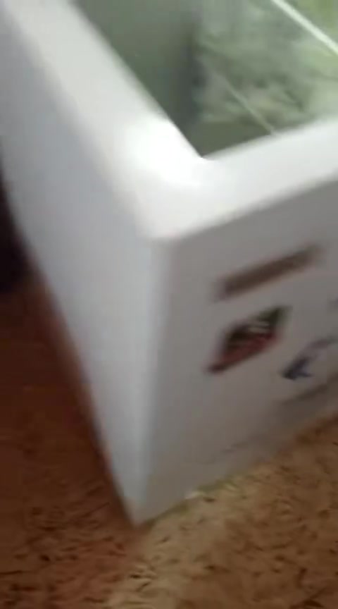 مجمده 6 قدم نضيفه كلش وتجميده كلش زين مصالها هواي استعمل جداً قليل السعر ١٥٠ وبي مجال  تجميدها قوي بس هستوني منضفتها


**إذا كنت صاحب هذا الإعلان وتريد حذفه لأي سبب، رجاءا أرسل رسالة إلى الدعم الفني**