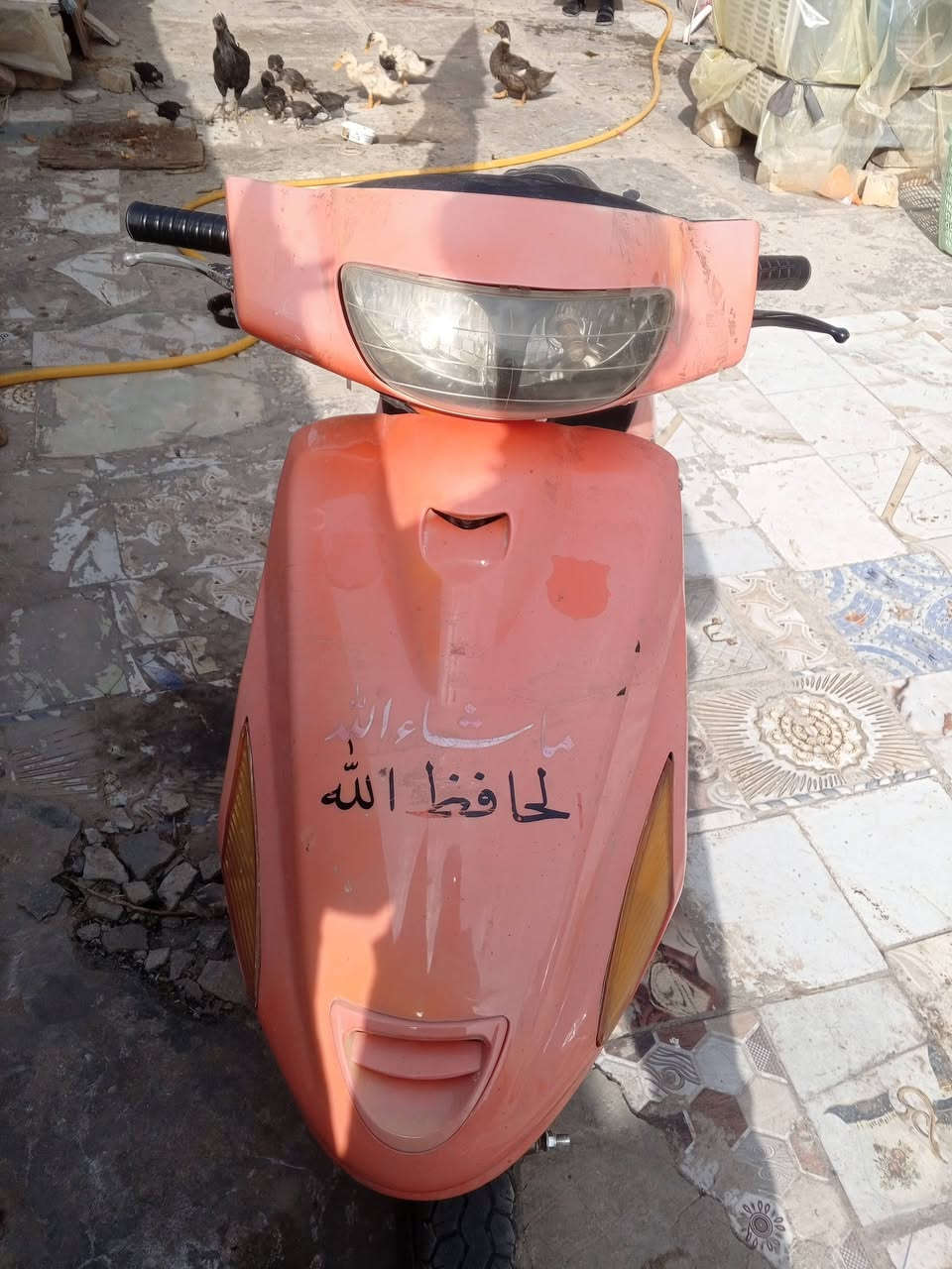 فراشه اللبيع ب250 بيهه مجال الطبيين ‏‪***********‬‏
