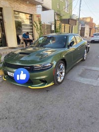 جي تي فول • ٢٠٢٠ • زيتوني