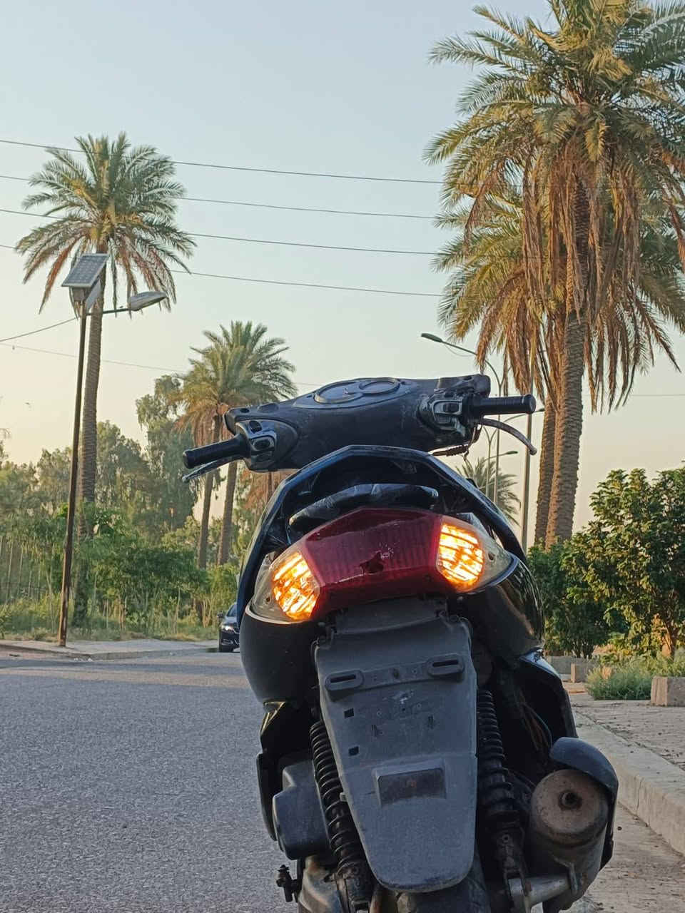 السلام عليكم سكنس فحل اللبيع مكاني بغداد قرب بسمايه سعر خاص***********
