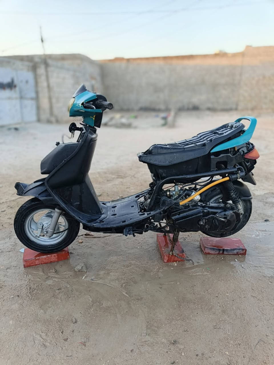 سلام عليكم فراشه فحل مفتوح نهضة تشك الكاع سعر 200وبيه مجال بسيط
مكان براكيه


**إذا كنت صاحب هذا الإعلان وتريد حذفه لأي سبب، رجاءا أرسل رسالة إلى الدعم الفني**