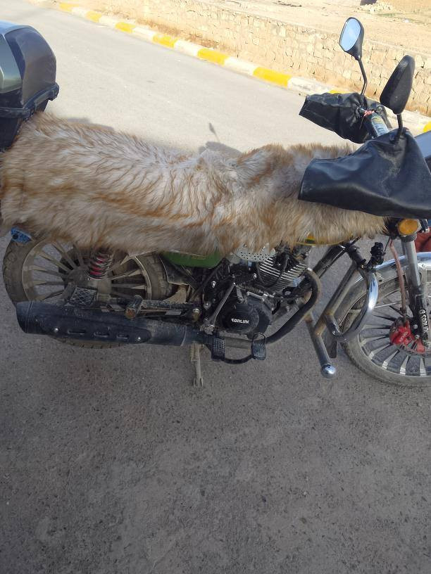 مطور سولنك للبيع مطور مصار شهر من شديته محرك 200 جواكيج لون زيتوني باقي تفاصيل خاص ل


**إذا كنت صاحب هذا الإعلان وتريد حذفه لأي سبب، رجاءا أرسل رسالة إلى الدعم الفني**