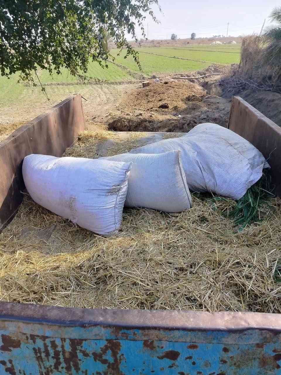 للبيع عربانه سكندريه جديده تخم تاير جك كلاب كامله سعره مليون وبيه مجال العنوان الديوانية علا طريق 
***********
