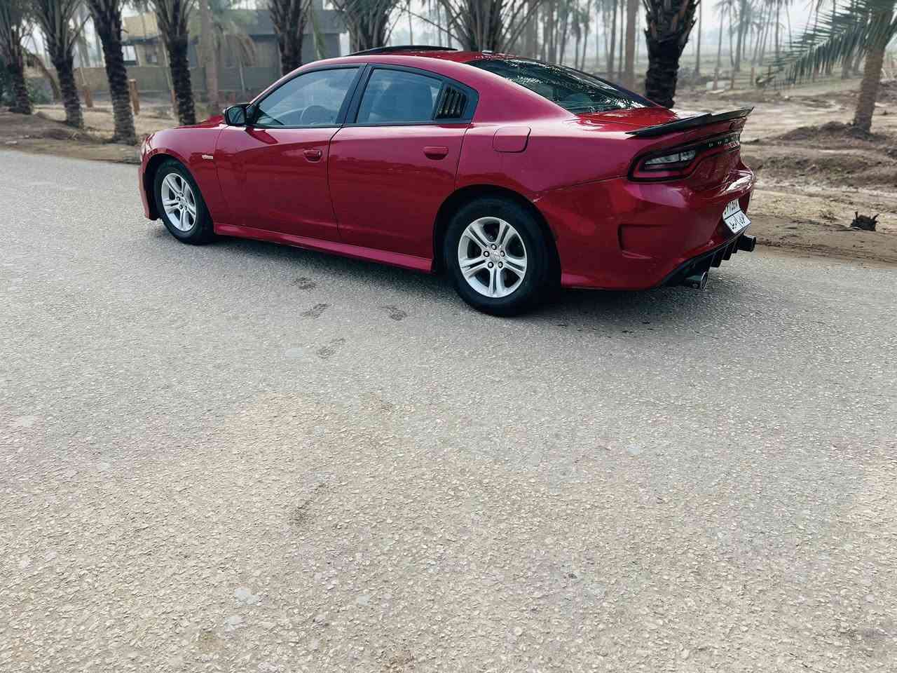 سلام عليكم جار جر16. مكينة3600 مصبوغ عام سيارة فول العنوان بابل السعر 138 رقم الهاتف*********** كندية ￼
