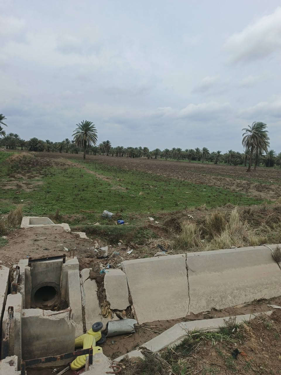 اسلام عليكم قطعه ارض لبيع طابو زراعي سند 25 تحويل مباشر
المساحه الكليه 7دونم  الواجه 110 
خدمات كامله تبعد عن الشارع العام 200 متر
موقع الرض منطقه الدسميه قرب حسينيه سيد شاكر
تصلح تقسيم تصلح مزرعه كلش حلوه شارعه 8متر
يتوفر كافه الخدمات  لمعلومه الكاع تنباع كله 7دونم
سعر الرض اتصال ع الرقام   بسعر مناسب  
***********
***********
