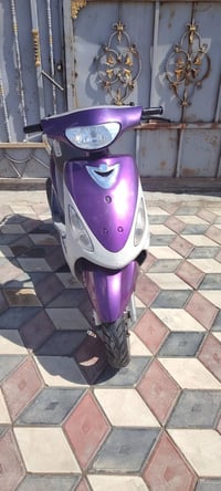 مكلف بالنشر