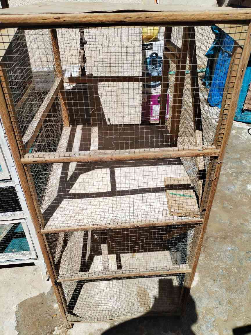 اقفاص دجاج ٣ كبير خشبية.. واخد صغير وقفص كبير بلابل.. سعرهن كلهن.. ١١٠..اتصال ***********.. العنوان حي العامل.. قرب ساحة الاحرار كربلاء, العراق
