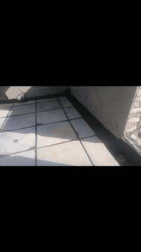 شغل ما تقدر ارجعوا له داخل السماوه ***********
