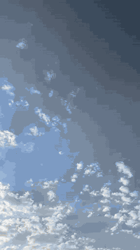 السلام عليكم تكتك للبيع موديل 2019 شهر ال12 التكتك نضيفة وخير من الله رقم وسنوية دوشمة وجادر جديد العنوان بغداد الزعفرانية ‏‪***********‬‏
