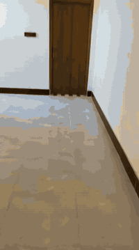 بيت للبيع • بل ماجديه سيد جميل • ١٠٠م