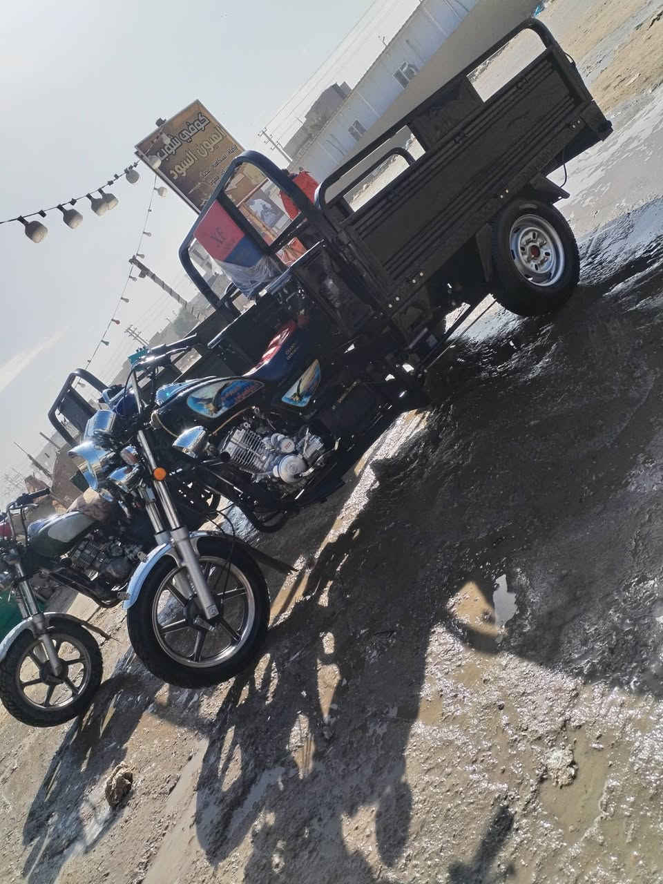 للبيع السعر خاص وكيل نوار الباشا شراي خاص ***********
