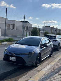 كورلا • ٢٠٢٣ • رقم كركوك