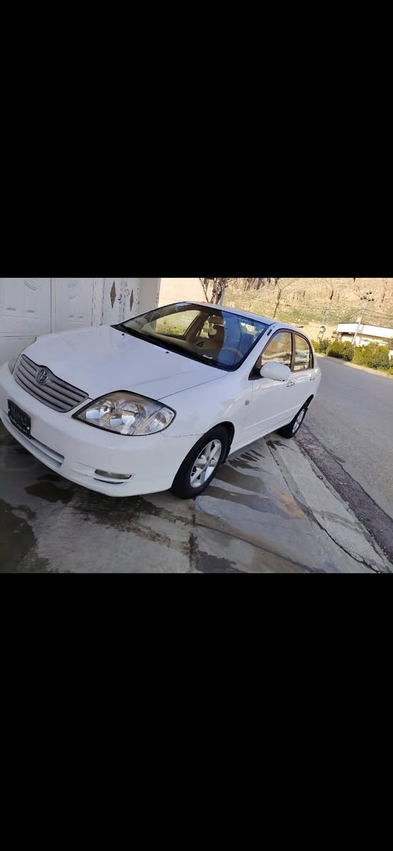 سەیارەكە هی خۆم نی یە تكایە گەر موشتەری تەلەفۆن بۆ خاوەنەكەی بكە 

تویۆتا بیكاشۆ ناوزەرد مۆدیل ٢٠٠٣ ئاڕم پلاستیك سۆرانە و تەحویل ئەسڵی لەگەڵە مەكینە گەورە گێر ئۆتۆماتیك  یەك پارچە بۆیاغە قرنجێكی كەمی لە پێشەوە پێوەیە گێر و مەكینە و ئاڕم و ئەولیات بەشەرت چوار جام كارەبایی و ئاوێنە كارەبایی و كۆنترۆل و قفڵ مەركەزییە

ژمارە موبایل/ 
***********

ناونیشان ڕانیە
 
تكایە ئەگەر موشتەری تەلەفۆن بۆ خاوەنەكەی بكە
