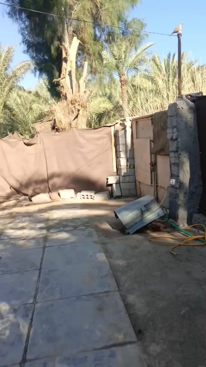 🏡 دار للبيع –مساحه 500دغارة
📍 الموقع: مقابل محطة سيد يوسف – تبعد 400 متر عن شارع العام 
📐 
✨ المميزات:
▫️ متوفر ماء وكهرباء
▫️ جميع الخدمات متوفرة البيت هوه واثاثه كامل سعر مناسب انتصل ***********
