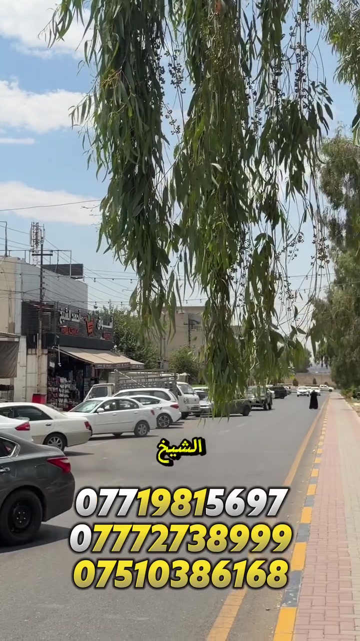 كود ( 468 ) ش
دار تجاري للبيع بحساب الارض على سايدين الصورة ( قرب اسواق احمد الشيخ)
المساحة : 240 متر
الواجهة : 12 متر 

لمعرفة كافة الاسعار يمكنكم الانضمام الى قناة التلكرام عبر 
الرابط ادناه : 
https://t.me/realestatemhnd
للاستفسار اكثر يرجى الاتصال على الارقام التالية: 
***********
***********
***********
 نستقبل عروض البيع والشراء والايجار في اغلب مناطق ساحل الموصل الايسر
 عنوان المكتب : الموصل حي الصديق بداية شارع 20 قرب مركز جباية كار مكتب مهند الحجيات
