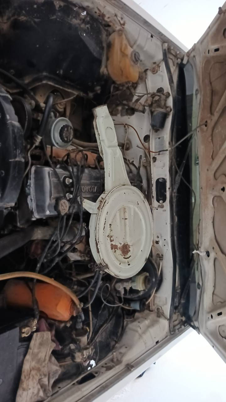 سؤپةر ٨٥ئارم پلاستيكي سليماني نمونة لةجواني  كيرومةكينة تةقةورةقة بةشةرت كارةباي كامل مةزبوت رزيوي نية تايةي تازةية فرؤشتنو ئالوگؤر  لةسليمانيم ***********فايبر السليمانية, العراق
