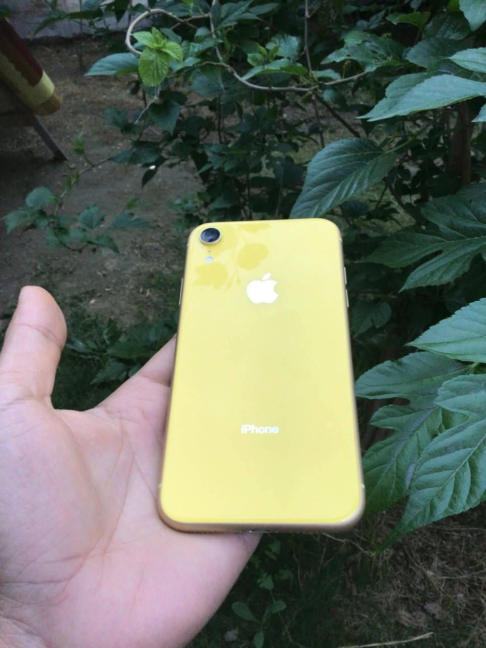 للبيع 📱
موبايل iPhone XR لون أصفر 💛
ذاكرة 64GB
نسبة البطارية 85%

📌 الملاحظات:

مبدل شاشة فقط

الفيس آيدي متوقف

يحتاج بيت سيمكرت + زر صامت

📌 باقي الأمور كلها شغالة 100%:
اتصال، شبكة، تصوير، وكلشي تمام 👍

💰 السعر: 130 (وبي مجال)
📍 الموقع: بغداد

📞 الرقم: ***********

القطعتين (بيت السيمكرت وزر الصامت) متوفرة بأي محل، بس ما عندي وقت أصلحهن، لذلك دا أبيعه بهالسعر

الي جاد يراسل خاص أو يتصل 🙏
