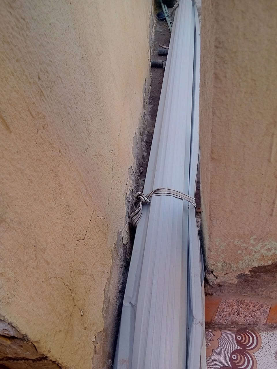 جينكو عدد 2 الطول اربعه ونص 30 الف نهايتهن سوق الشيوخ حي العسكري شارع المحوله


**إذا كنت صاحب هذا الإعلان وتريد حذفه لأي سبب، رجاءا أرسل رسالة إلى الدعم الفني**