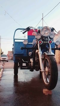 ستوته • ٢٠٢٣ • اوراق