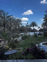 مزرعة • عوائل فقط • ٣٨٠٠م