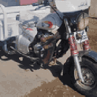 توكتوك • ستوت بعير • بلا عيب