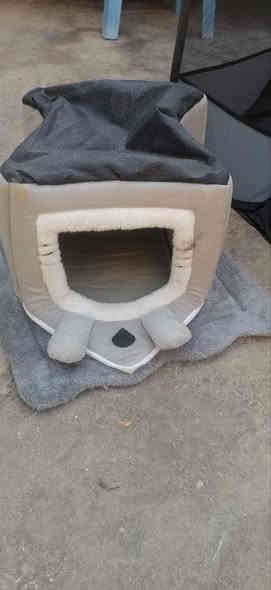 بيت مال بزونة سعر ٢٥ بي مجال مدينة الصدر رقم الهاتف ***********
