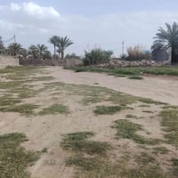 أرض زراعيه • سند ٢٥ • ١٠٠٠م