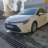 كورولا • ٢٠٢٤ • مرقمة معوقين