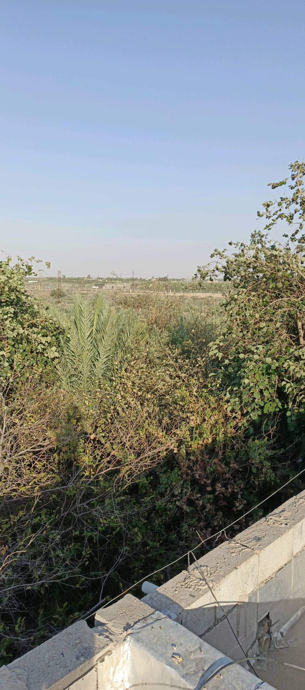 بستان على شط العرب مساحته 5 دونم يحتوي على بيت الأرض مسيجه جزء منه بلوك والباقي بي ارسي
تحتوي على نخل متعدد النوعيات وسدر بأنواعه تحتوي على بحيرات سمك ومكان لتربيه الحيوانات ما تتأثر بالمد الملحي الأرض عله شط العرب مباشره طابو زراعي عنوانه النشوه قرب قرية سيد علي نور