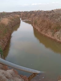 الرويحان ذي قار • ٧٠دونم • ميه حلوة
