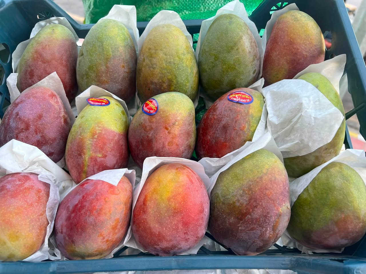 اللهم صل على محمد وال بيت محمد 

مسواك جديد ٧/١٩
🫛🥒🧅🥭🍊🍓💔🍑🫑🥬🥕🍆🍐🍍🍇

متوفر توصيل 🛵
📞 ***********
واتساب ايضاً. 

📌📍دخل المحدود /بجانب محطة الكهرباء
📍📍شارع الخليج /مجاور مطعم عيسى سابقا

