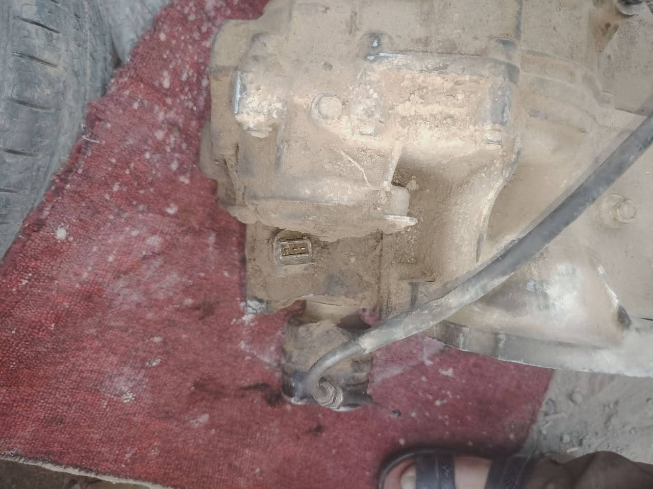 كير كوله قديم جديد شرط الشغل سعرها ٢٠٠


**إذا كنت صاحب هذا الإعلان وتريد حذفه لأي سبب، رجاءا أرسل رسالة إلى الدعم الفني**